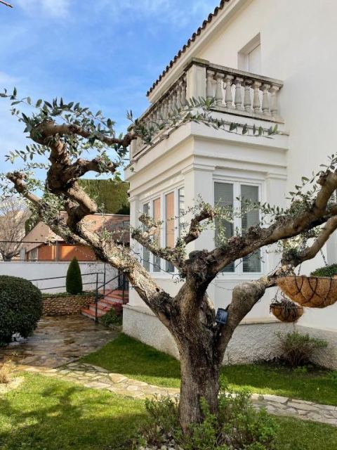 El Jardí De L'avet