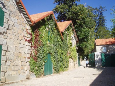 Casa Da Insua